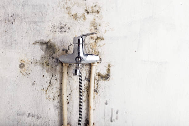 Best Mold Testing  in Luxemburg, WI