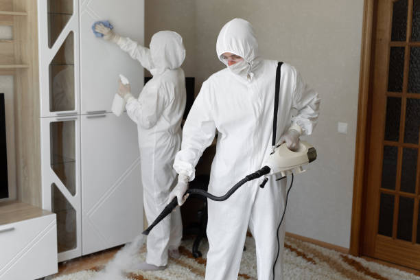 Best Mold Inspection  in Luxemburg, WI